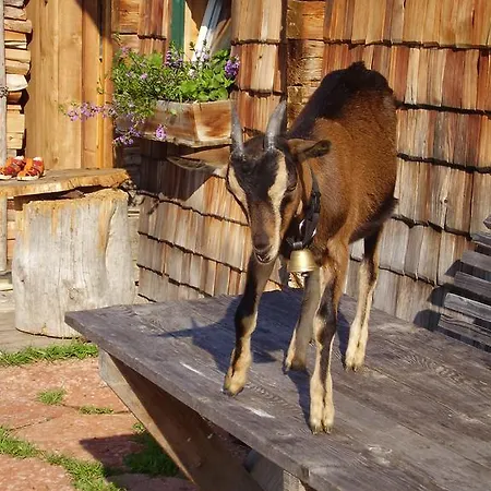 S Mauthaeusl Luftenstein 아파트