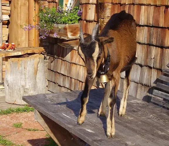 S Mauthaeusl Luftenstein Appartement